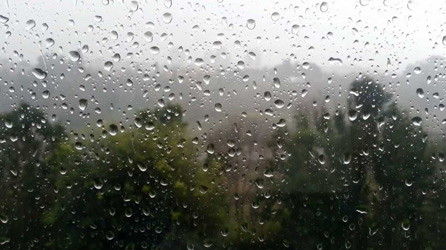 Il livello di umidità della tua casa crea la condensa alle finestre?