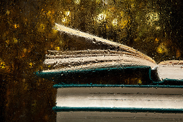 Macchie di umidità: come pulire e salvaguardare i tuoi libri